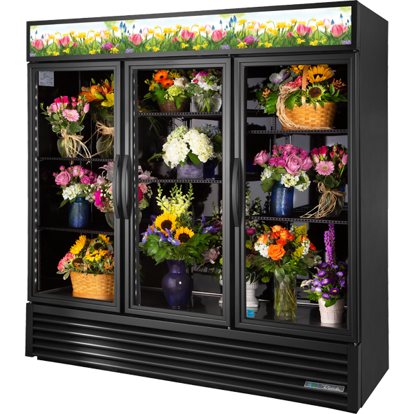 True GDM-72FC-HC TSL01 Curved Glass Freezer, 72 cu.ft.